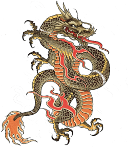 Good Pix For Chinese Dragon Tattoo Png - Dragon Tattoos, Transparent background PNG HD thumbnail