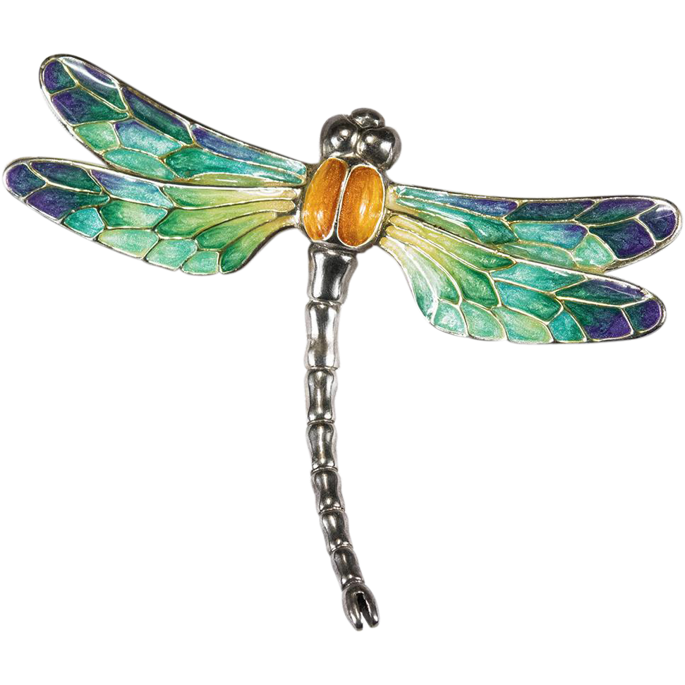 Dragonfly Png - Dragonfly, Transparent background PNG HD thumbnail