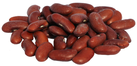 Michiganbean_Largeredkidney - Dry Beans, Transparent background PNG HD thumbnail