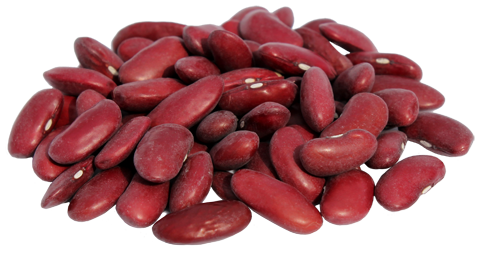 Michiganbean_Redkidney - Dry Beans, Transparent background PNG HD thumbnail