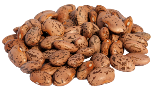 Pinto Beans - Dry Beans, Transparent background PNG HD thumbnail