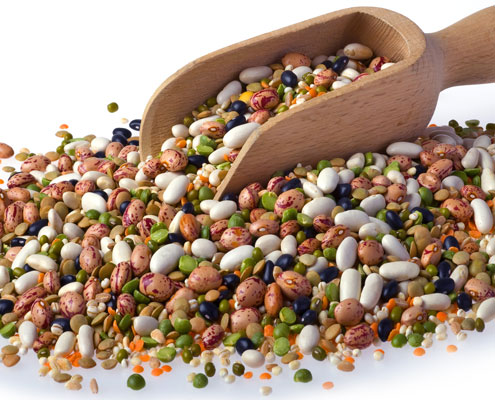 Processing - Dry Beans, Transparent background PNG HD thumbnail