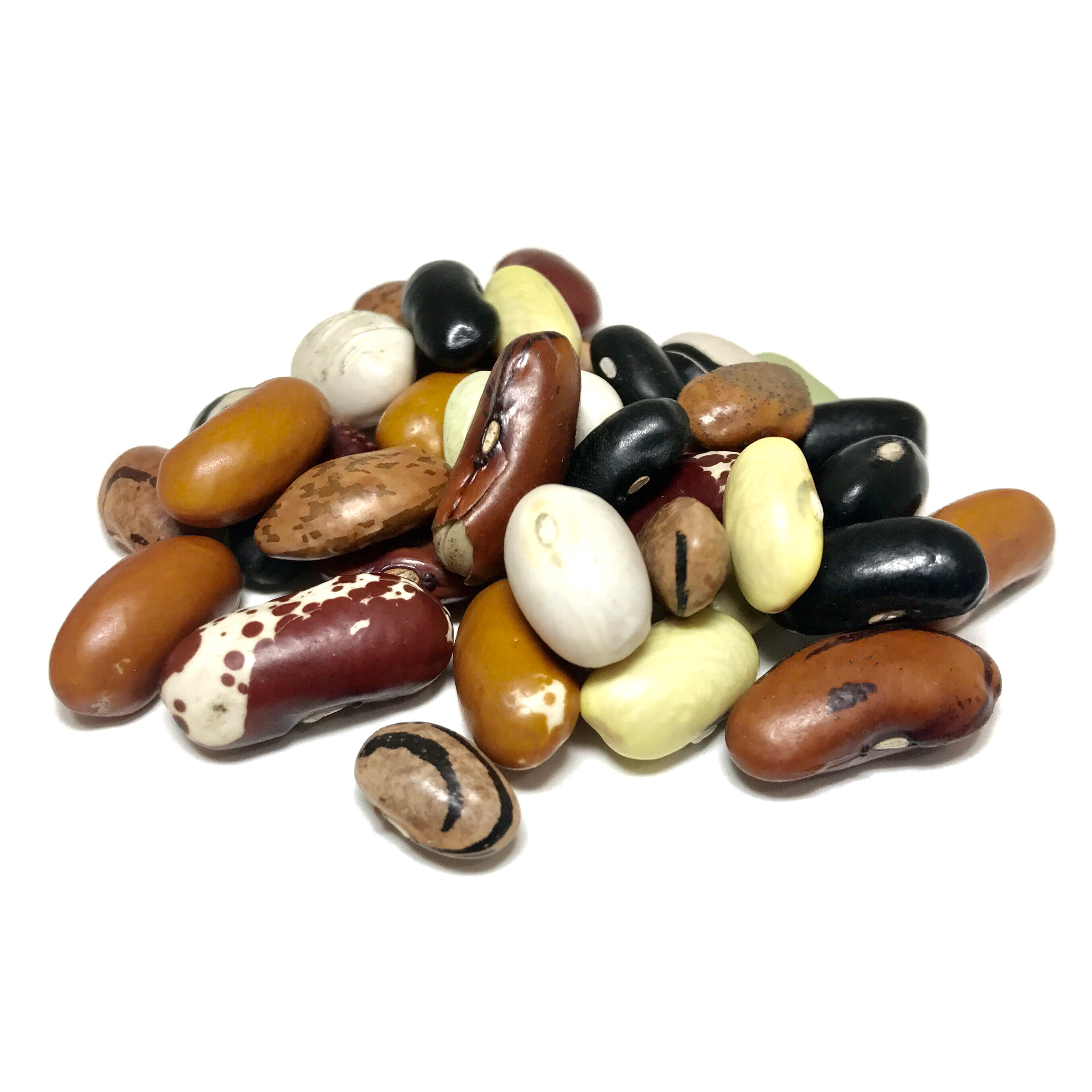 Shady Side Farm | Bean Medley Certified Organic Dry Beans | 1 Lb. - Dry Beans, Transparent background PNG HD thumbnail