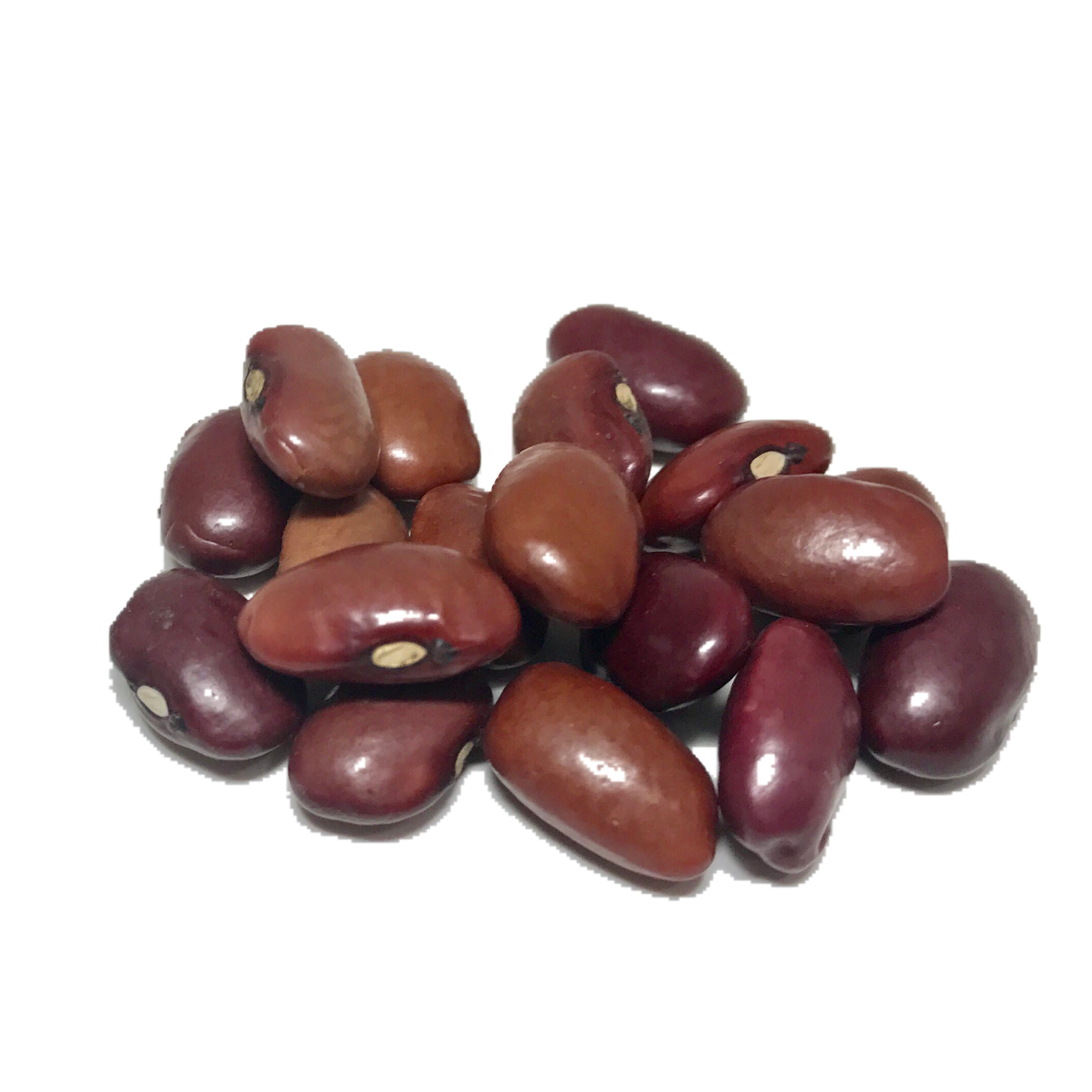 Shady Side Farm | Hidatsa Red Certified Organic Heirloom Beans | 1 Lb. - Dry Beans, Transparent background PNG HD thumbnail