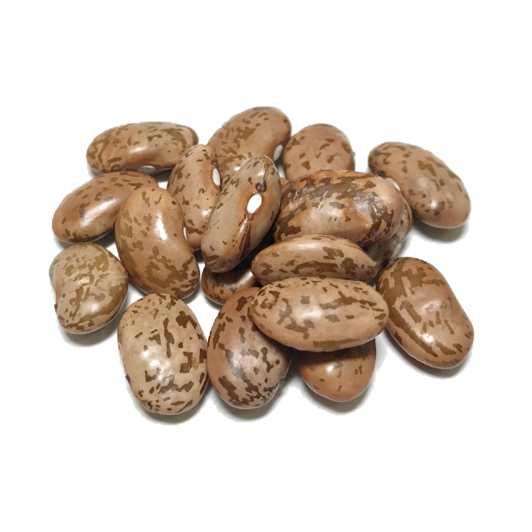 Shady Side Farm | Pinto Certified Organic Dry Beans | 5 Lb. - Dry Beans, Transparent background PNG HD thumbnail