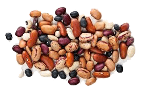 We Can Source Nearly Any Major Grain And Pulse For Feed And Livestock Ventures. Non Gmo And Organic Products Are Also Available. - Dry Beans, Transparent background PNG HD thumbnail