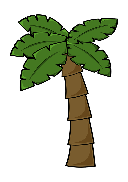 Kokospalme Dschungel Dschungel Blatt Palm Palme - Dschungel Blatter, Transparent background PNG HD thumbnail