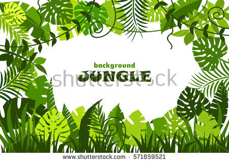 Decorative Tropical Jungle Background. Vector Illustration - Dschungel Hintergrund, Transparent background PNG HD thumbnail