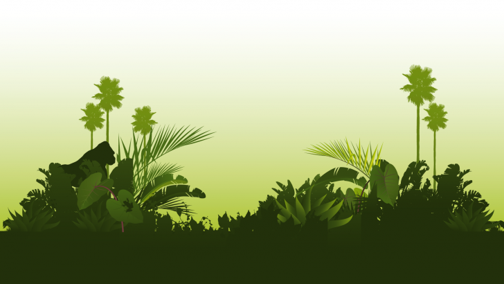 Jungle Desktop Wallpapers - Dschungel Hintergrund, Transparent background PNG HD thumbnail