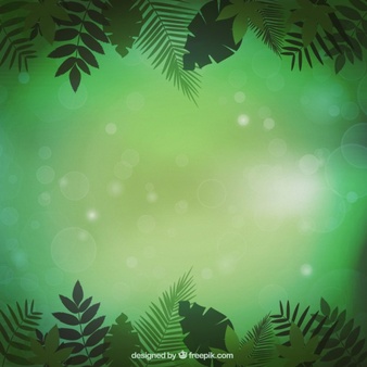 Jungle Vegetation Background - Dschungel Hintergrund, Transparent background PNG HD thumbnail