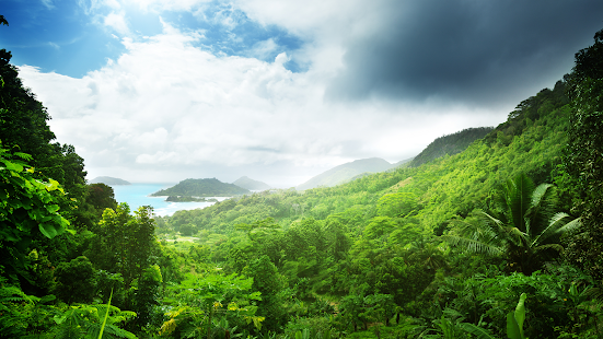 Screenshot Image - Dschungel Hintergrund, Transparent background PNG HD thumbnail