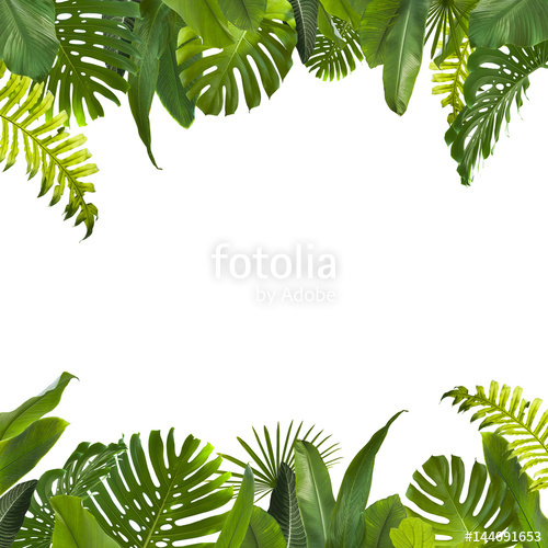 Tropical Jungle Leaves Background - Dschungel Hintergrund, Transparent background PNG HD thumbnail