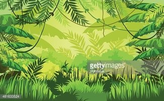 Tropischen Dschungel Hintergrund - Dschungel Hintergrund, Transparent background PNG HD thumbnail