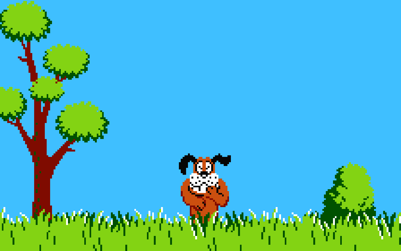 Duck Hunting Backgrounds   Wallpaper Cave - Duck Hunting, Transparent background PNG HD thumbnail