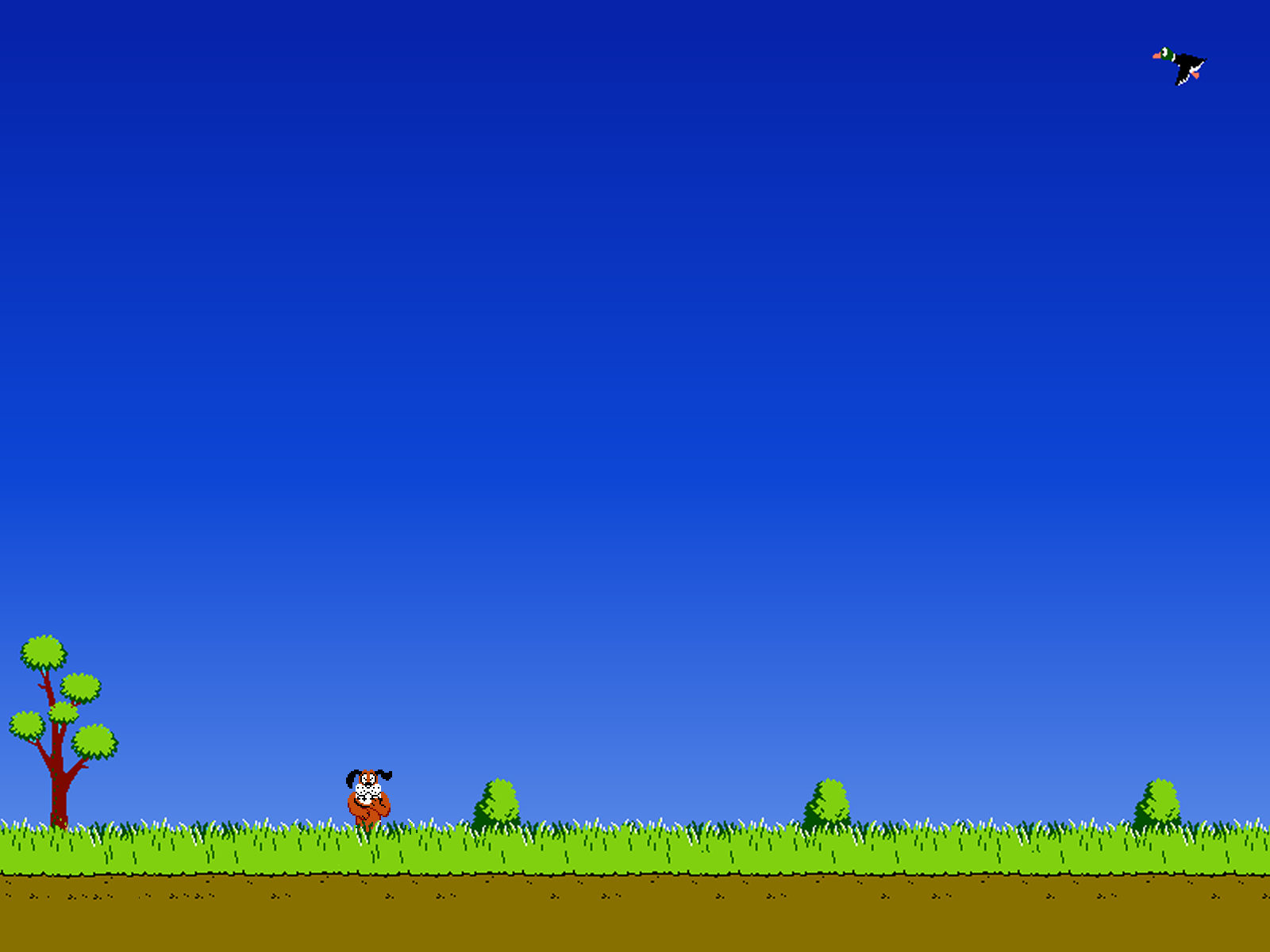 Duck Hunting Backgrounds   Wallpaper Cave - Duck Hunting, Transparent background PNG HD thumbnail