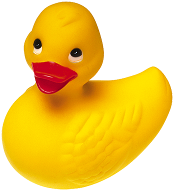 Duck Png - Duck, Transparent background PNG HD thumbnail