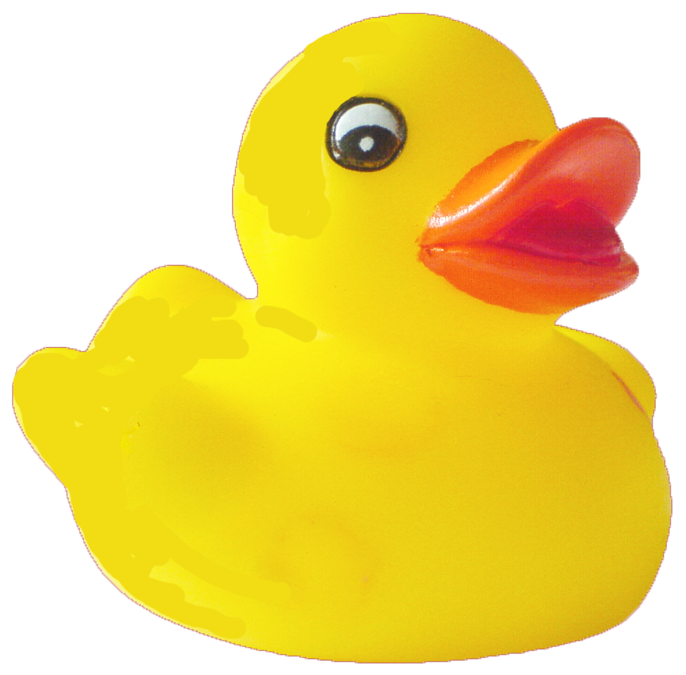 Duck Png Pic - Duck, Transparent background PNG HD thumbnail