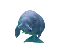 File:Normal ian-symbol-dugong
