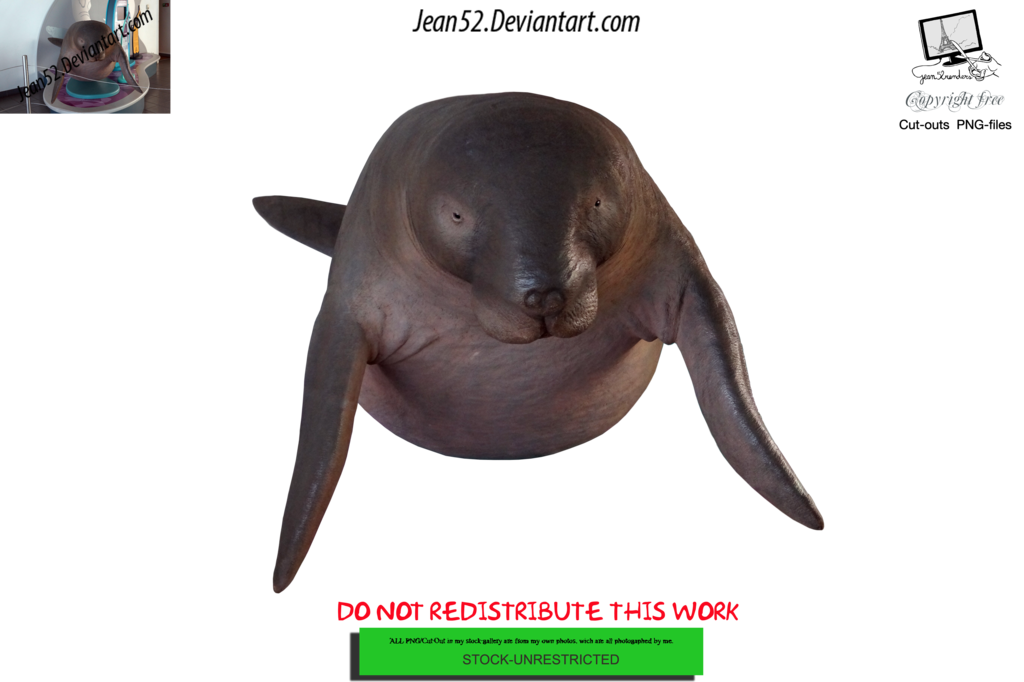 Dugong Png By Jean52 Hdpng.com  - Dugong, Transparent background PNG HD thumbnail