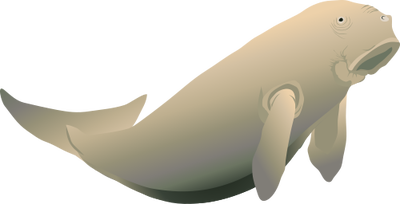Dugong PNG by Jean52 PlusPng.