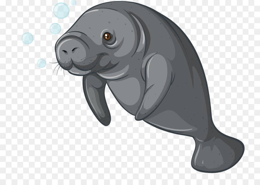 Sea Cows Stock Photography Dugong Clip Art   Hand Painted Seals - Dugong, Transparent background PNG HD thumbnail