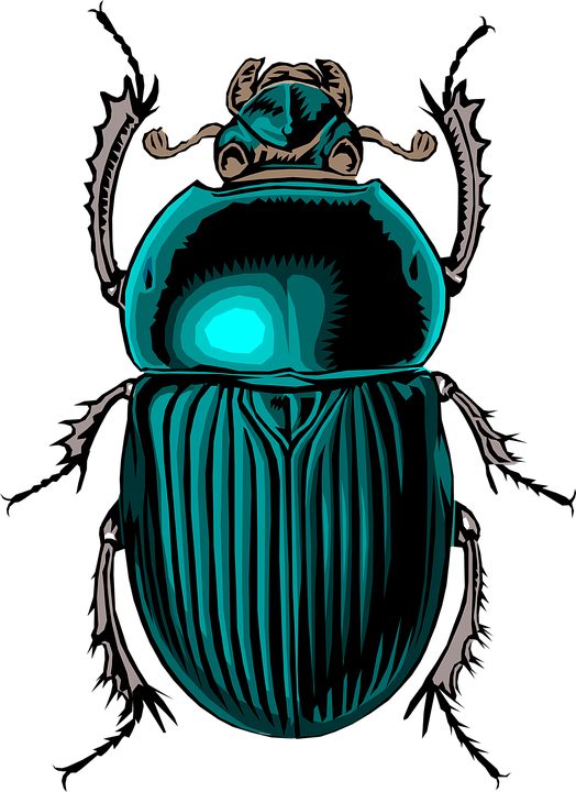 Beetle Insect Bug Scarab Stink Dung - Dung Beetle, Transparent background PNG HD thumbnail
