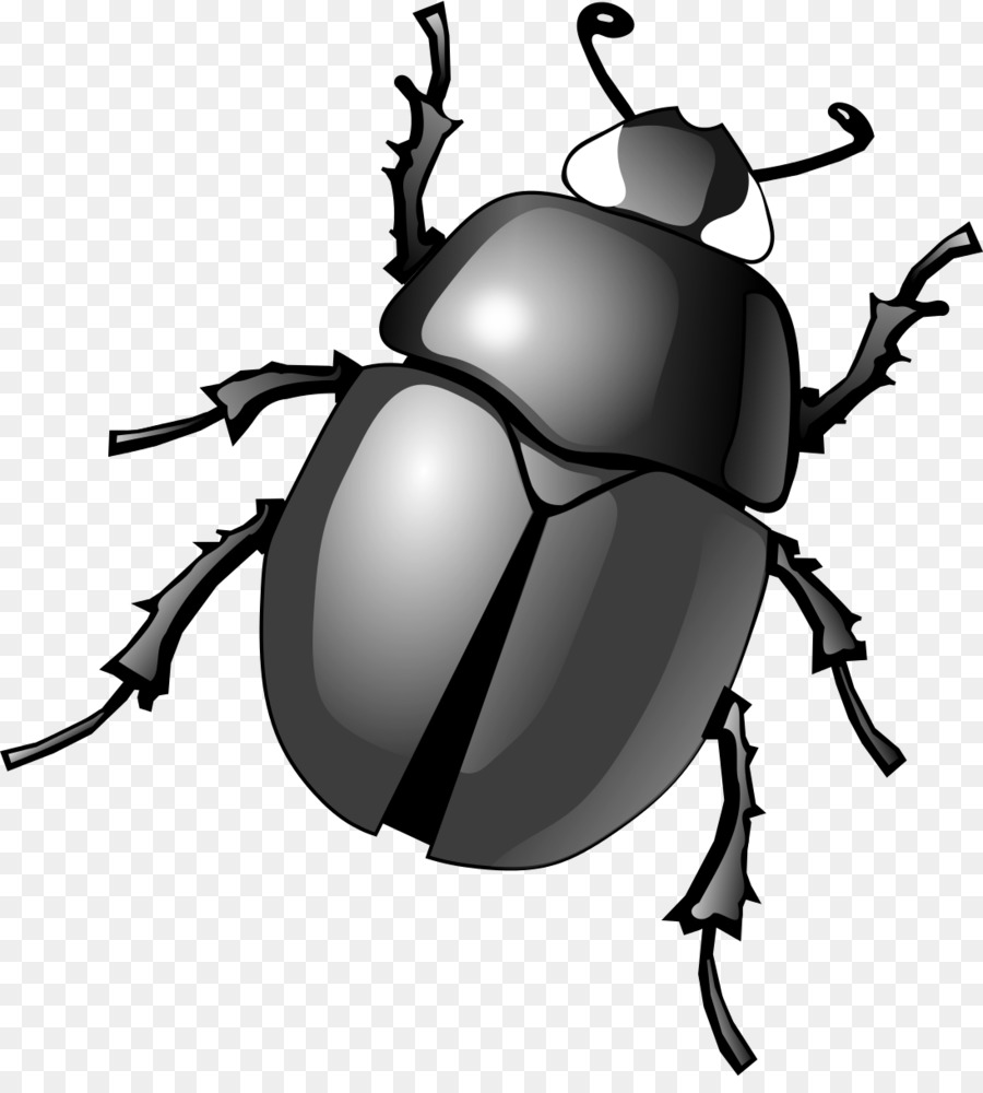 Dung Beetle Png - Dung Beetle Clip Art   Beetle, Transparent background PNG HD thumbnail