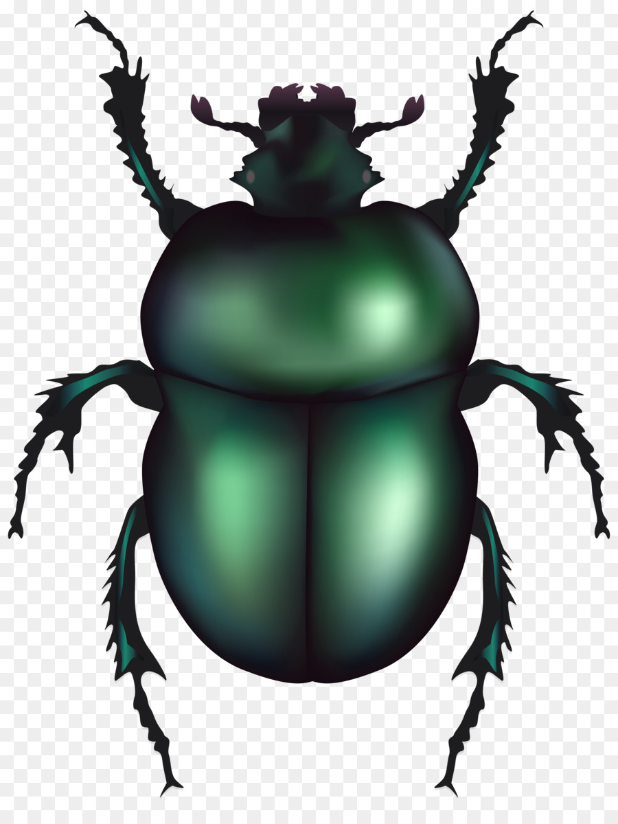 Dung Beetle Png - Volkswagen Beetle Dung Beetle Clip Art   Insect, Transparent background PNG HD thumbnail