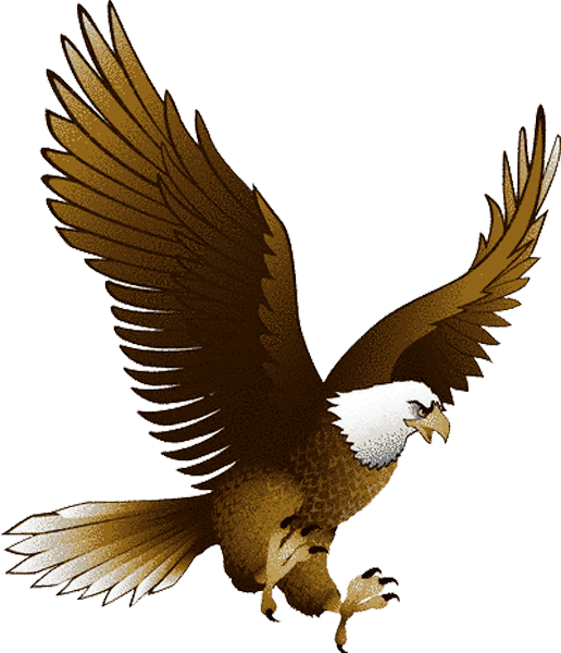 Eagle Png Image With Transparency Download Png Image - Eagle, Transparent background PNG HD thumbnail