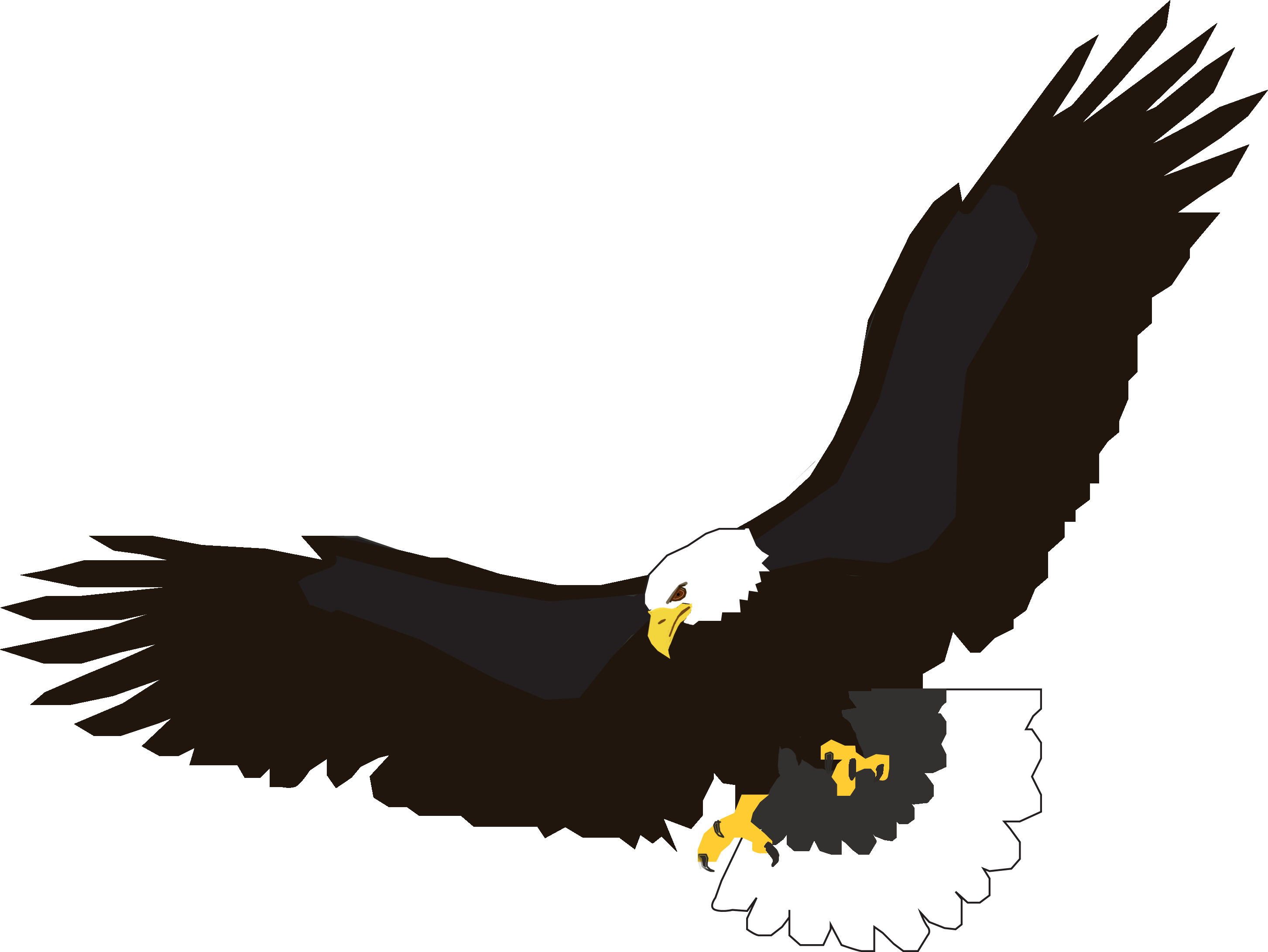 Flying Eagle Png Image Download Png Image - Eagle, Transparent background PNG HD thumbnail