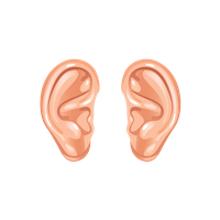 Ear Download Png Png Image - Ear, Transparent background PNG HD thumbnail
