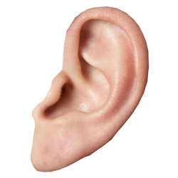 clipart of an ear listening c