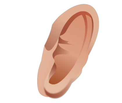 Ear Png Image - Ear, Transparent background PNG HD thumbnail