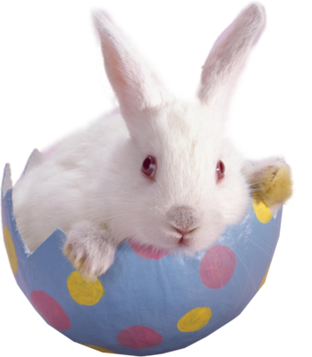 Easter Png | Easter Bunny | Psd Detail - Easter Bunny, Transparent background PNG HD thumbnail