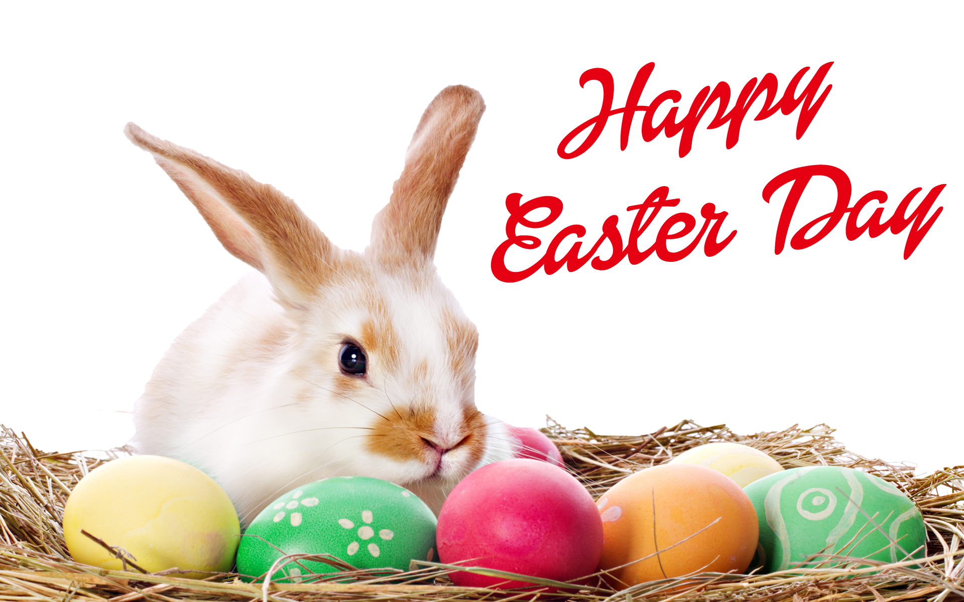 Happy Easter Bunny And Eggs Png - Easter Bunny With Eggs, Transparent background PNG HD thumbnail