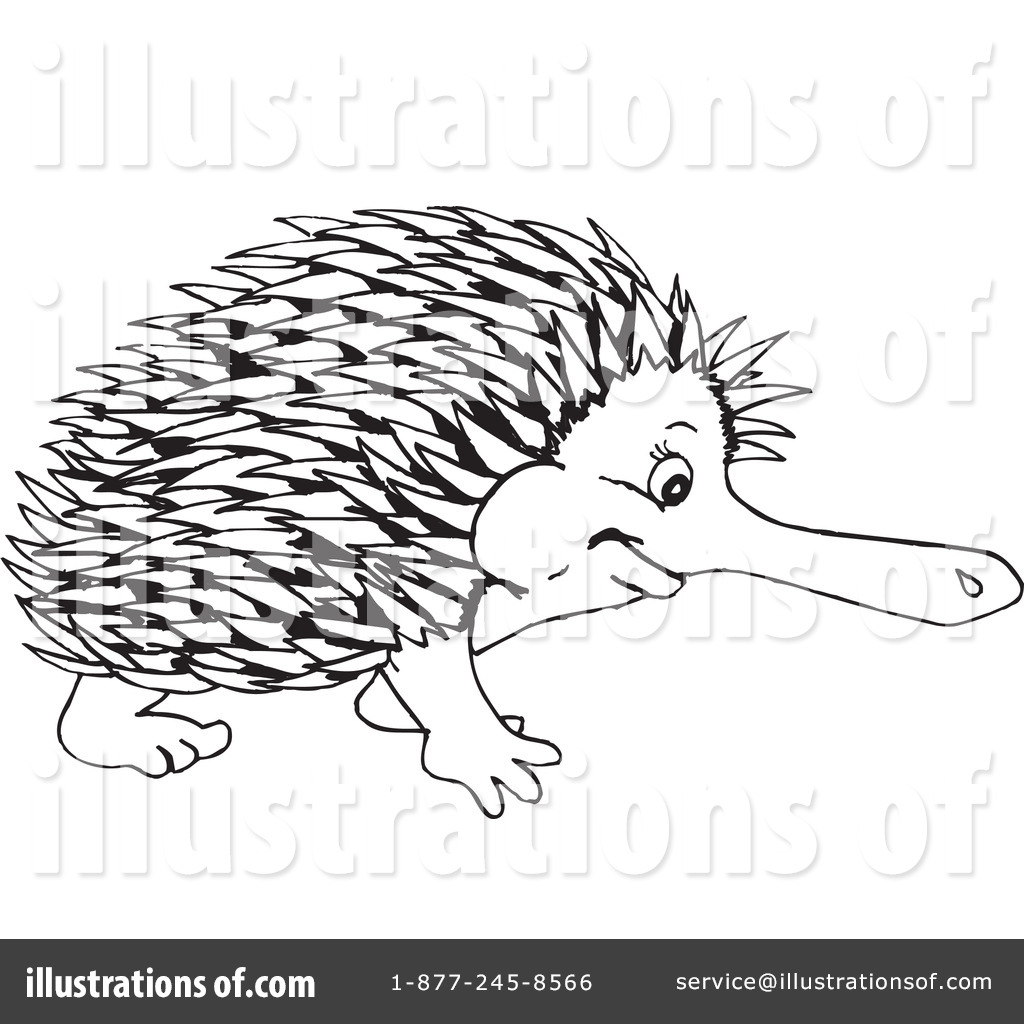 File:Echidna (PSF).png