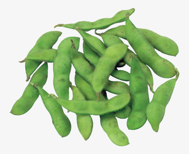 Delicious Edamame, Vegetables, Food, Seasonal Vegetables Free Png Image And Clipart - Edamame, Transparent background PNG HD thumbnail