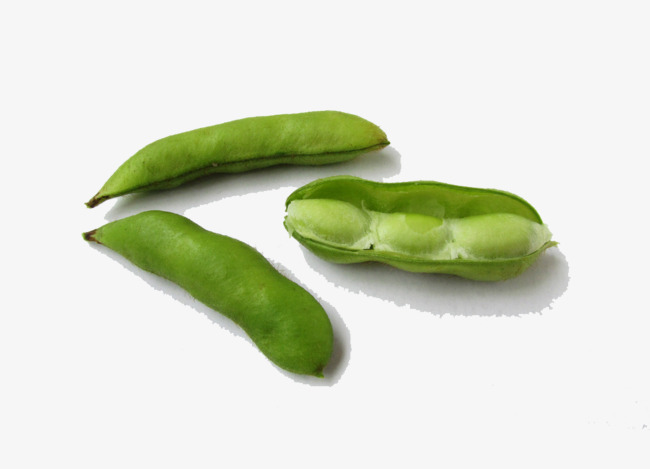 Eat Edamame, Soybean, Vector, Product Kind Png And Vector - Edamame, Transparent background PNG HD thumbnail