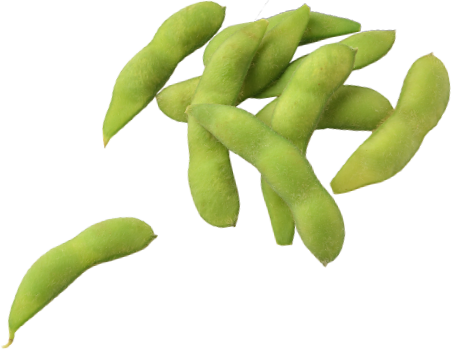 Its Climate Has Four Clearly Defined Seasons, Providing An Environment Suitable For Growing Delicious Agricultural Produce. The Edamame Which Hdpng.com  - Edamame, Transparent background PNG HD thumbnail