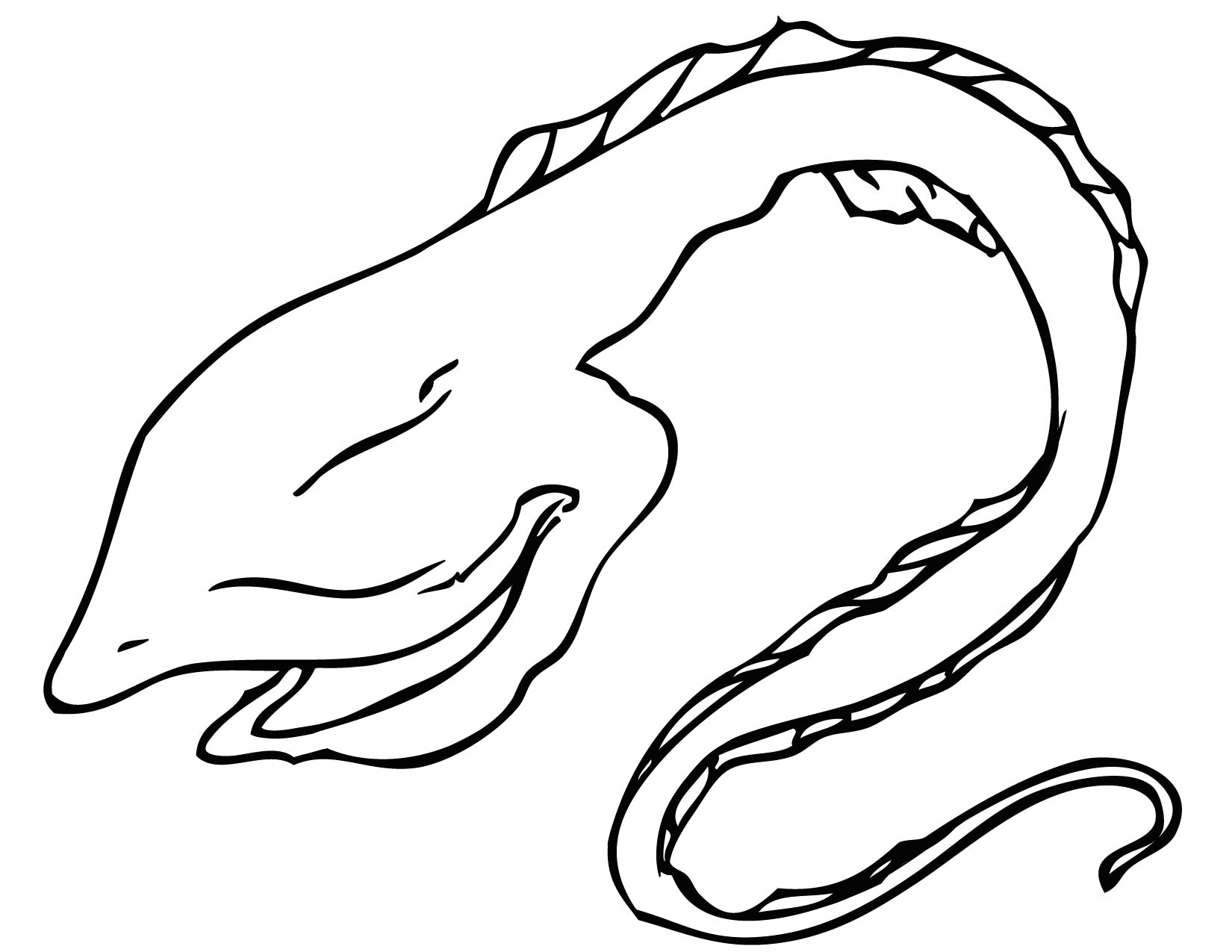 1650X1275 Gulper Eel Coloring Page - Eel Black And White, Transparent background PNG HD thumbnail