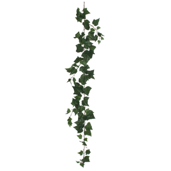 Efeugirlande Englisch-grün-L 180 cm, Efeuranken PNG - Free PNG