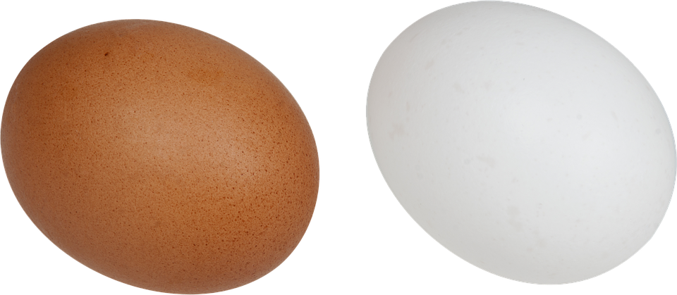 Eggs, White, Brown, Food, Breakfast, Chicken, Bird - Egg, Transparent background PNG HD thumbnail