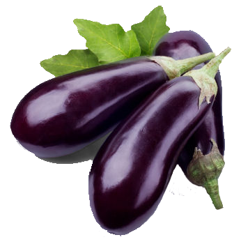 Eggplant Free Download Png Png Image - Eggplant, Transparent background PNG HD thumbnail