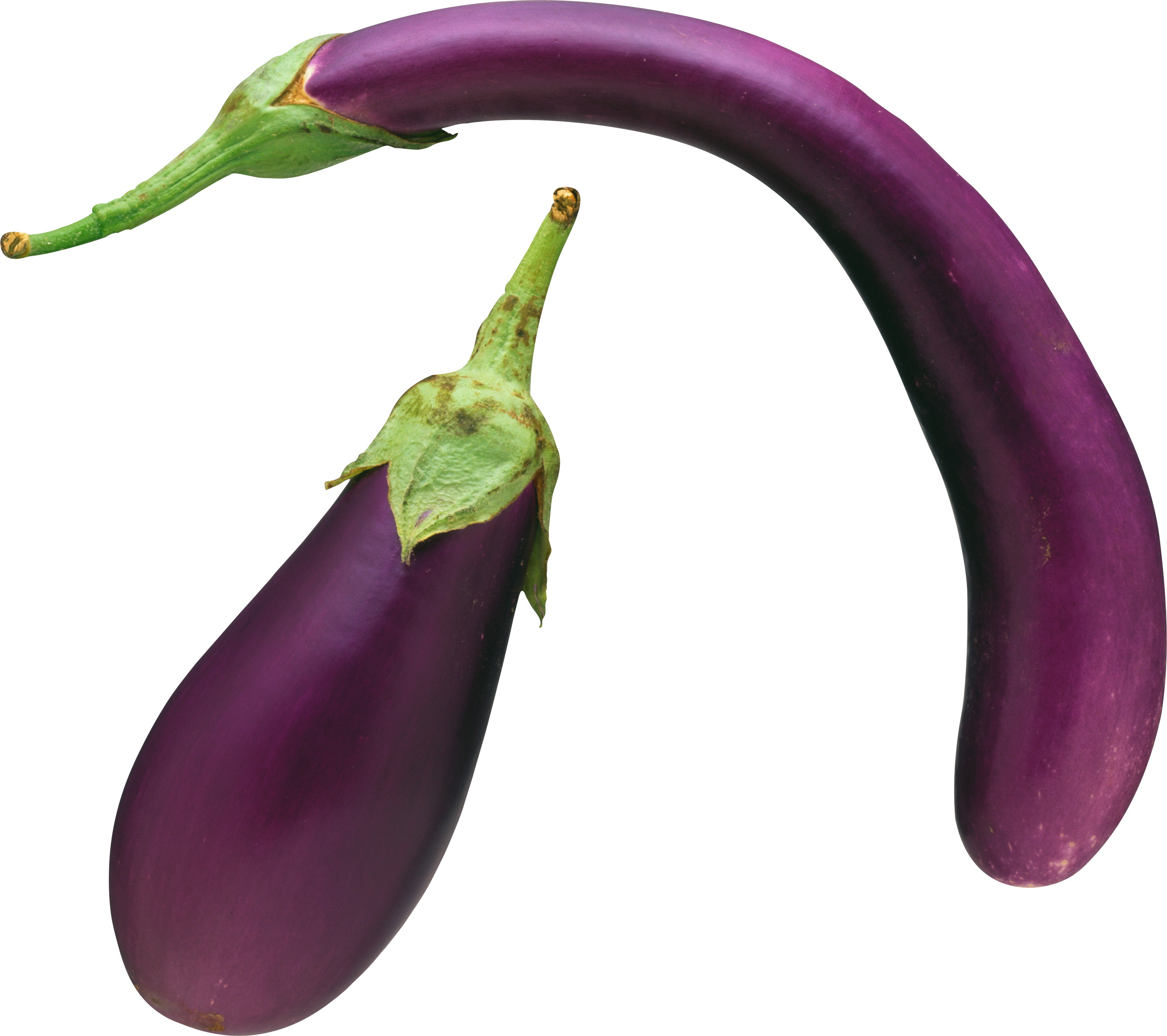 Eggplant Png Images Free Download - Eggplant, Transparent background PNG HD thumbnail