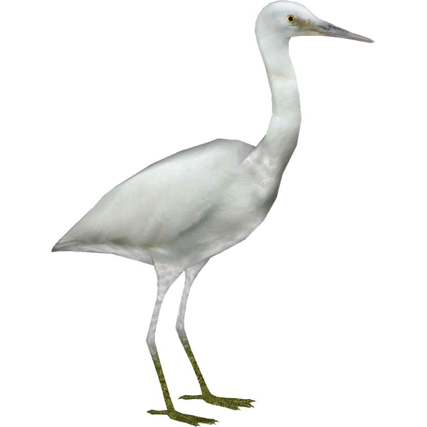File:Cattle Egret.svg
