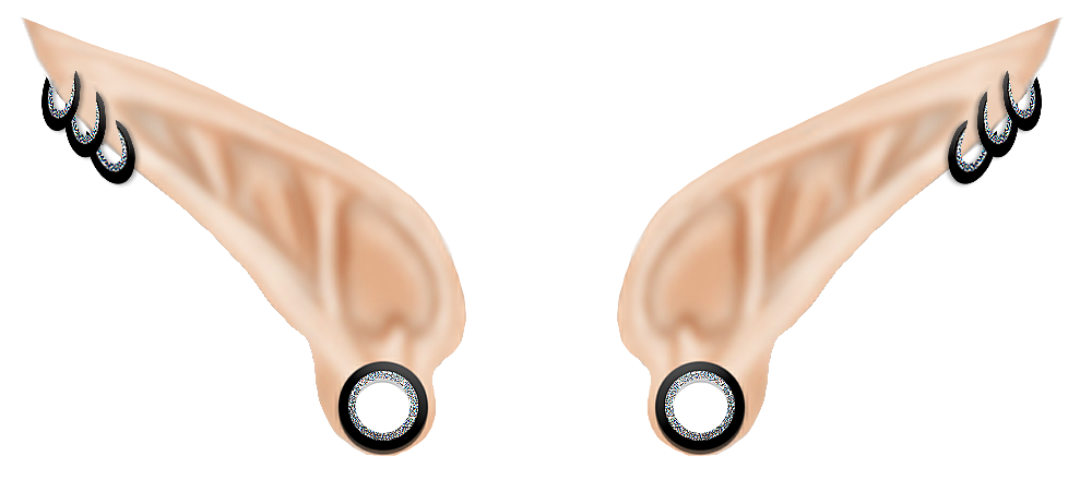 Elf Ears Periced By Fapperscreations Hdpng.com  - Elf Ears, Transparent background PNG HD thumbnail