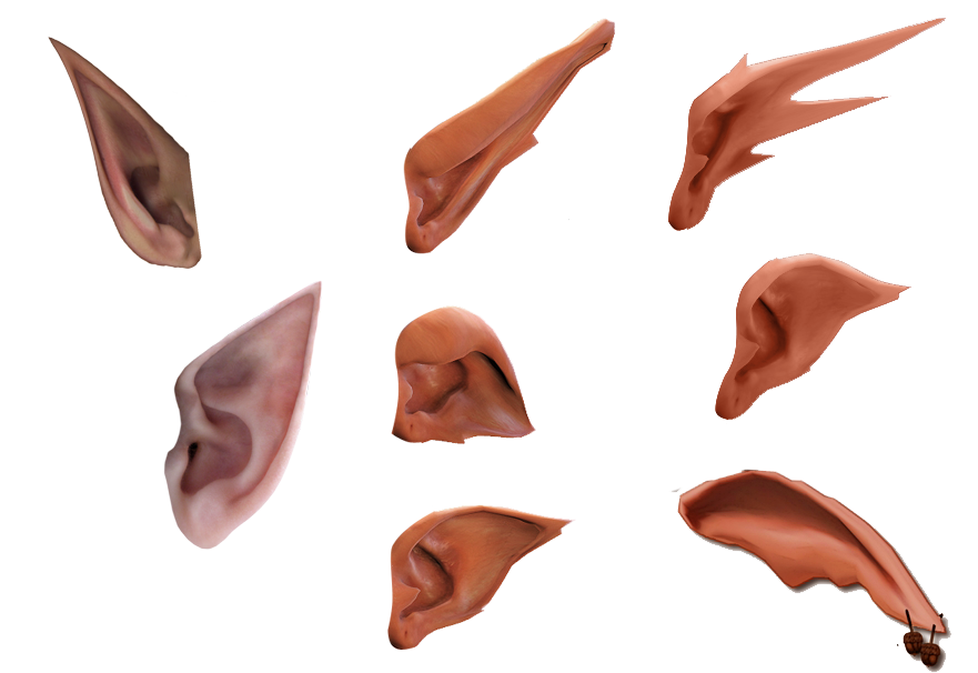 Elf Ears Png - Elven Ears By Darkadathea Hdpng.com , Transparent background PNG HD thumbnail