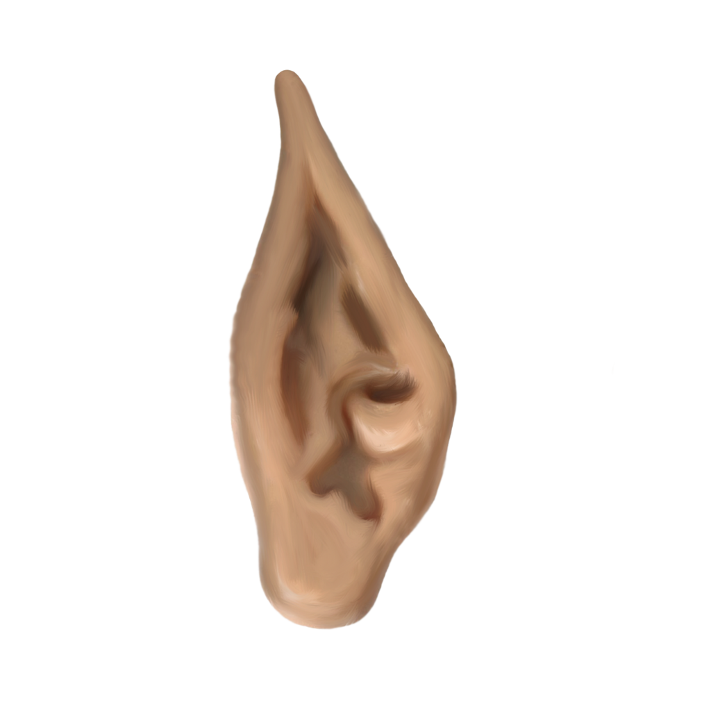 Elf Ears Png - Png Elf Ear By Moonglowlilly Png Elf Ear By Moonglowlilly, Transparent background PNG HD thumbnail