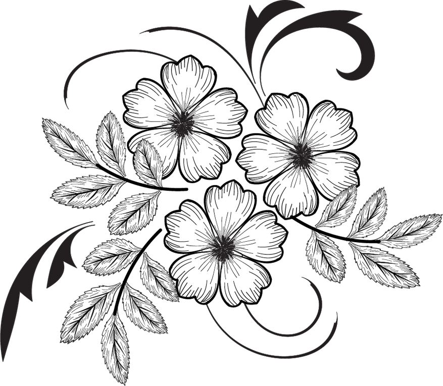 Flowers Drawing Illustrations, Png File - Elisi Black And White, Transparent background PNG HD thumbnail