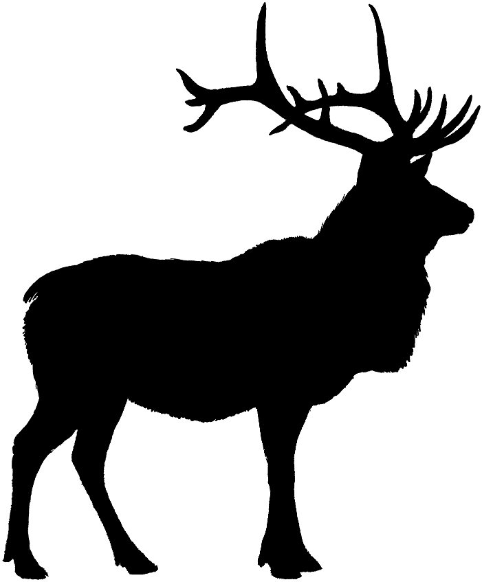 Elk Clipart 5 - Elk Black And White, Transparent background PNG HD thumbnail